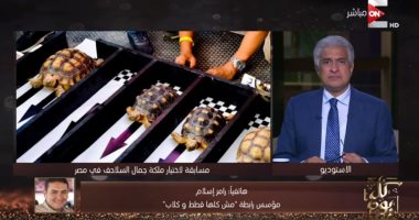 بعد القطط والكلاب.. مسابقة لملكة جمال السلاحف.. تعرف على الشروط
