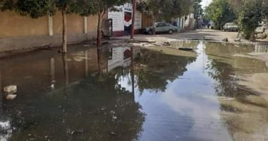 قارئ يشكو من انتشار مياه الصرف الصحى فى قرية العطوانى بأسوان