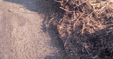 قارئ يطالب بتطهير ترعة وزالة مخلفات بقرية الزعفرانى بالبحيرة