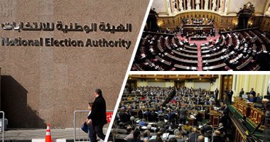 2020 عام الاستحقاقات الانتخابية بمصر.. المواعيد الدستورية تلزم بانتخاب البرلمان الجديد خلال شهرى أكتوبر ونوفمبر المقبلين.. وإجراءات انتخابات مجلس الشيوخ عقب اقرار قانونه.. ومصادر ترجح تأجيل المحليات لـ2021