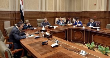 لأول مرة.."خارجية النواب" تبحث تعزيز العلاقات المصرية النيوزلندية بالفيديو كونفرانس