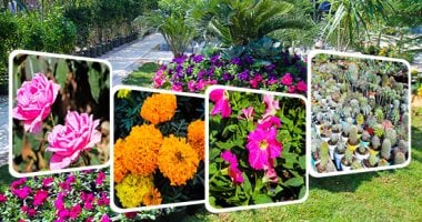 لأول مرة فى مصر..افتتاح معرض زهور الخريف بالمتحف الزراعى