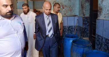 صور.. غلق ثلاث مصانع بالشرقية للرنجة و المخلل و إعدام 2 طن أغذية فاسدة 