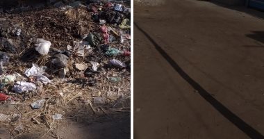 مجلس محلى "أبو كبير" يستجيب لشكوى تراكم القمامة بعزبة الوتار بالشرقية