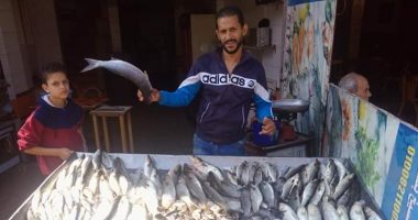 تفاوت أسعار الأسماك بدمياط.. الجران 35 جنيها والبورى 50 والبلطى 25 والدنيس 100