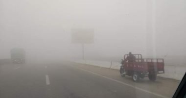 شبورة مائية تغطى سماء القليوبية والمرور يناشد المواطنين بتوخى الحذر.. صور