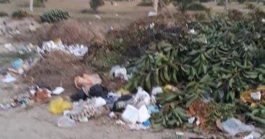 "القمامة.. وتهالك أعمدة الإناره".. شكاوى سكان الحى السابع بمدينة العبور