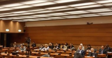 نشطاء يطالبون المجتمع الدولى بالتحرك لإدانة الإرهاب لتأثيره على حقوق الإنسان بمصر