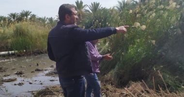 الرى: إنشاء خزان لتجميع مياه على عين "طنكليش" الطبيعية بسيوة لمنع إهدارها