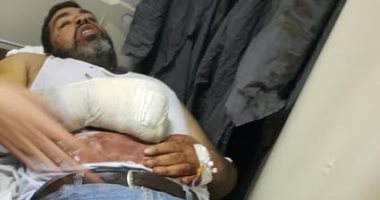 عاطلان يطلقان كلبهما على مزارع بدمياط