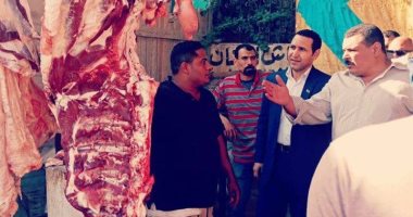 محافظ كفرالشيخ: توفير لحوم بأسعار 60 جنيه للكيلو بالمدن والقرى