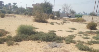 أهالى قرية العمارية يناشدون المسؤولين سرعة تركيب النجيل الصناعى بمركز الشباب