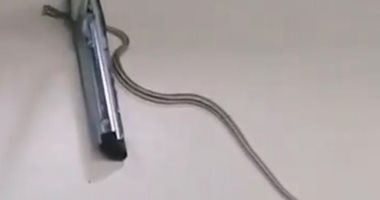 جامعة سعودية تكتشف ثعبانا داخل حقيبة طالبة أثار الفزع بين زميلاتها