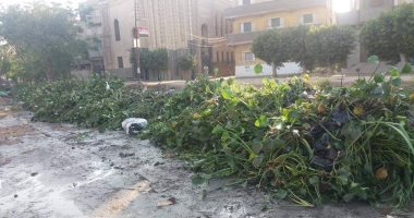 شكوى من سوء الصرف الصحى بقرية كفر مجاهد بمركز كوم حمادة فى البحيرة