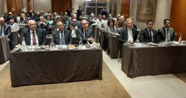عمر مروان و مايا مرسى وممثلى المجتمع المدنى يشاركون فى ندوة لجمعية المصريين بسويسرا