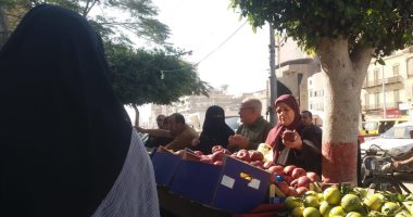تعرف على أسعار الخضروات والفواكه والبقوليات بأسواق محافظة الغربية