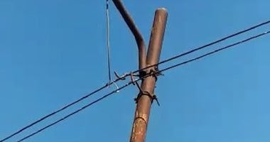 قارئ يشكو من وجود اعمده إنارة بدون عازل للأسلاك فى مدينة قها بالقليوبية