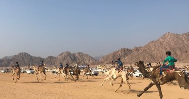 صور.. ننشر أسماء الفائزين بأول أشواط سباق الهجن بشرم الشيخ 