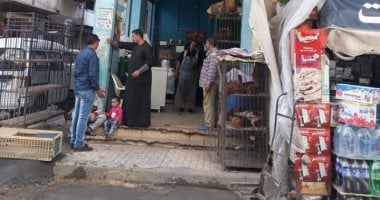 صور.. إيقاف أعمال حفر بدون ترخيص شرق الإسكندرية