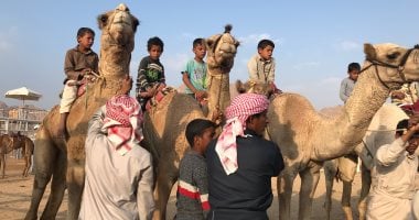 "مهرجان شرم الشيخ التراثى".. أداة تأصيل التراث البدوى ودمج الثقافات العربية