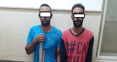 القبض على شقيقين لتنقيبهما عن الآثار بمصر القديمة