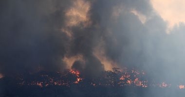 إجلاء 22 ألف شخص فى كاليفورنيا بسبب حرائق الغابات