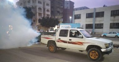 شكوى من انتشار كثيف للذباب بالمنيرة الغربية فى إمبابة بمحافظة الجيزة