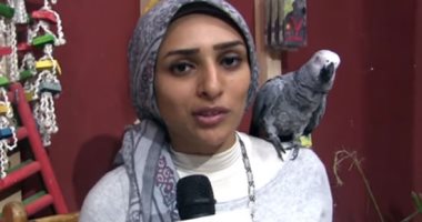 حكاية أول مدربة ببغاوات فى مصر.. درست الإعلام وتهوى تربية الحيوانات