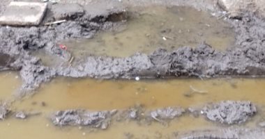 مياه الصرف الصحى تغرق منطقة كفر أبو صير بالمرج.. والأهالى يستغيثون
