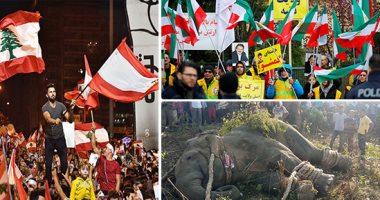 باختصار.. أهم الأخبار العربية والعالمية حتى منتصف الليل.. واشنطن تندد باستخدام القوة المميتة فى إيران.. استمرار الاحتجاجات فى لبنان.. تأجيل القمة العربية الإفريقية لموعد لاحق.. نفوق الفيل "بن لادن" فى الهند 