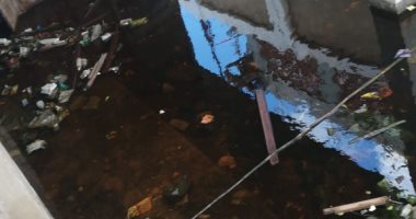 شكوى من تراكم المياه الجوفية بإحدى مدارس قرية كفر الدوار فى الغربية 