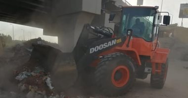 صور.. حملة لرفع كفاءة الحزام الأخضر وأسفل الكوبرى العلوى بنجع الطويل بمدينة الأقصر
