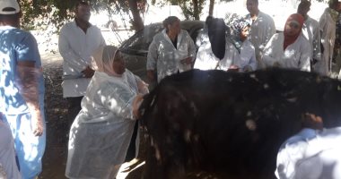 صور.. الزراعة تنظم حملة بيطرية إرشادية لمربى الماشية فى أسوان