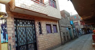 الحجر الفرعونى والرخام يزينان واجهات المنازل بقرية طنط الجزيرة بالقليوبية