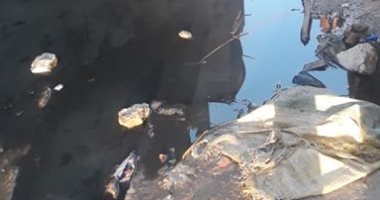 شكوى من انتشار مياه الصرف الصحى بشارع الرحمة بعزبة البكاتوشى 