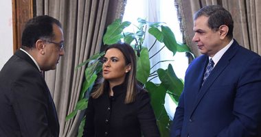 الحكومة: فتح الإجازات للمصريين العاملين بالخارج التابعين لقطاع الكهرباء