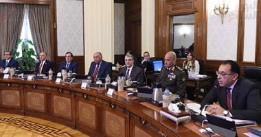 الحكومة: زراعة مليون شجرة و2700 فدان حدائق كمرحلة أولى