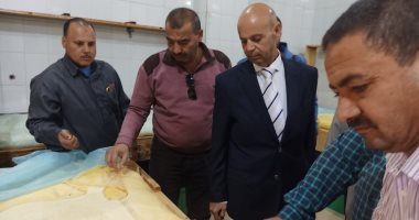 صور.. إغلاق منشآتين لتصنيع الجبن بالشرقية وإعدام والتحفظ على 2 طن منتجات 