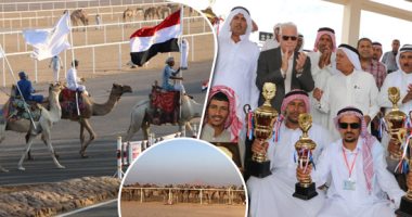 شرم الشيخ عاصمة لرياضة سباقات الهجن المصرية.. استضافت خلال 9 شهور أقوى المنافسات على مضمار مجهز  بمواصفات عالمية.. وأصبحت واجهة الآلاف من محبى رياضة الهجن.. وأعادت استغلال ثروة الإبل المهدرة ووفرت فرص عمل