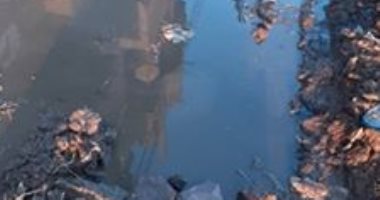 شكوى من غرق قرية الوزارية بكفر الشيخ بمياه الصرف الصحى