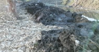 شكوى من تهالك طريق عزبة الرجايبة بالبحيرة