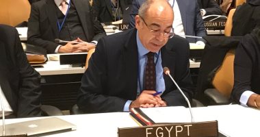 مصر خلال  منتدى الأمم المتحدة: مواجهة جائحة كورونا تتطلب تضافر جهود المجتمع الدولي