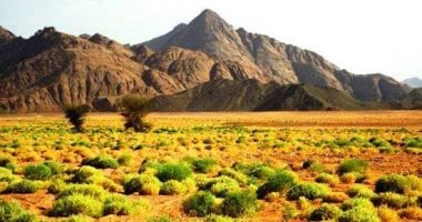هنا "برنيس" درة البحر الأحمر على مر العصور.. سميت باسم الملكة برنيقية أم بطليموس الثانى.. أثريون:أقدم ميناء بحرى فرعونى واستخدمت كمحطة لتدريب الماشية القادمة من بلاد بنط.. وخبراء يصفونها بمستقبل السياحة المصرية