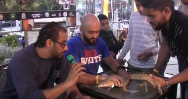 فيديو .. أغرب المسابقات .. أسرع حلزون وملكة جمال السلاحف