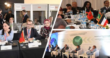 مصر تترأس لجنة الخبراء الحكومية الدولية فى شمال أفريقيا.. هالة السعيد: تنفيذ اتفاقية التجارة الحرة القارية يزيد حجم التجارة بين الدول الإفريقية.. ونائب وزير التخطيط: نمر بمرحلة فارقة فى مسيرة العلاقات التجارية
