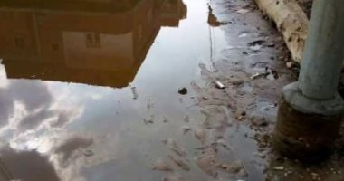 قارئ يشكو وجود ماس كهربائى بأعمدة الإنارة فى قرية الزعفرانى بالبحيرة