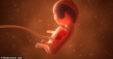 "ديلى ميل": الكوكاكولا أحدث وسائل الإجهاض فى كينيا