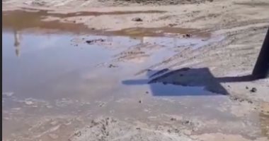 قارئ يشكو من ارتفاع منسوب المياه بفناء مدرسة فى القليوبية
