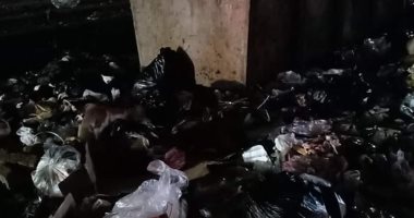 شكوى من تراكم القمامة بمدنية الحامول بكفر الشيخ