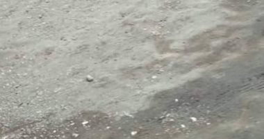 شكوى من تهالك طريق قرية سنفا بميت غمر